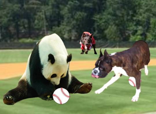 生き物ルーム第48