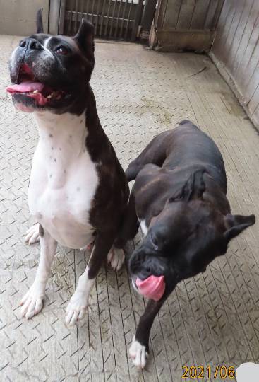 生き物ルーム第48