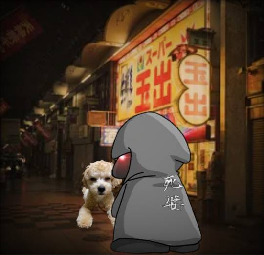 生き物ルーム第48