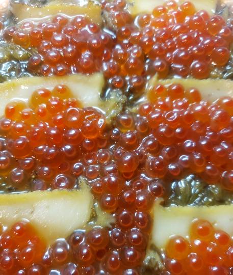 マスク同窓会詰所兼ニューフェイス歓迎所29(希望)