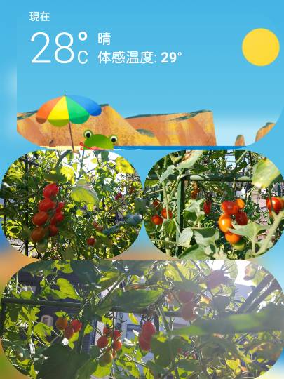 ★ドンキ♡♡ロピア 雑談41★