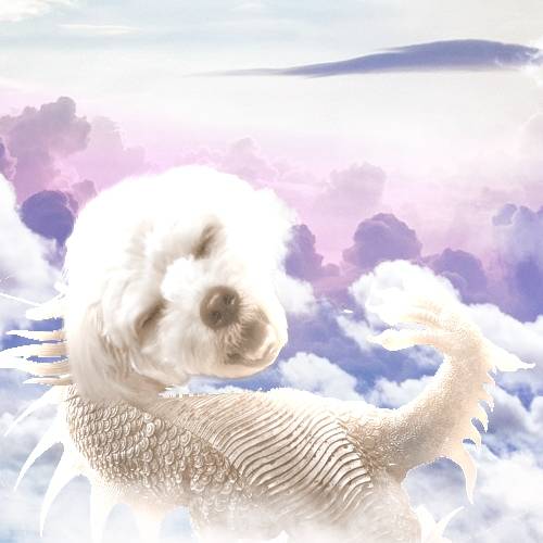 ★ドンキ♡♡ロピア 雑談43★