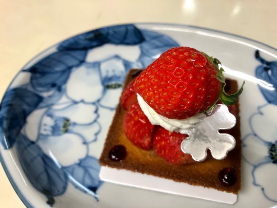 あつまれ‼︎雑談&ゲーム好きの森 season2#5 ドンとなった花火だ きれいだな〜♪♪