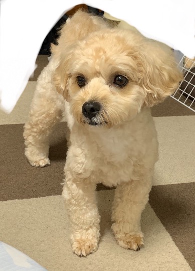 生き物ルーム第47