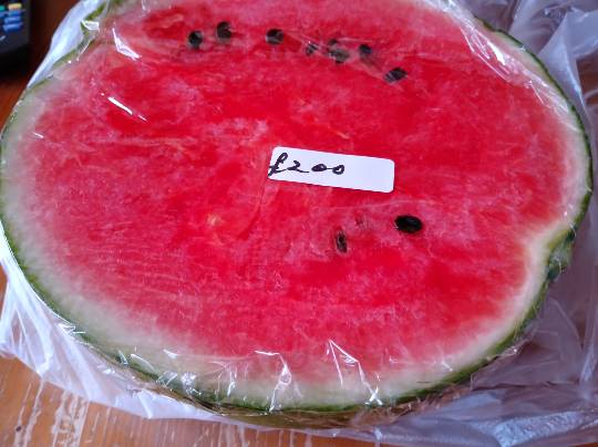 ★ドンキ♡♡ロピア 雑談41★