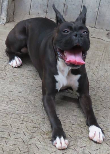 生き物ルーム第48