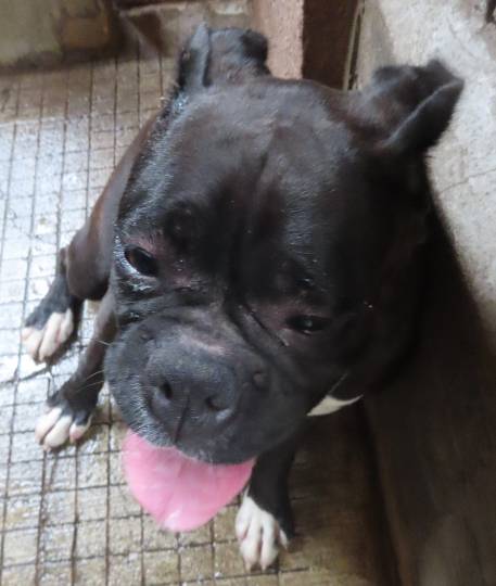 生き物ルーム第48