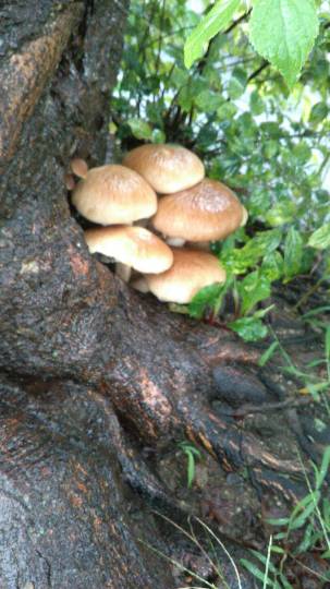 EGG&#039;S CAFE 　イイ表情お願いしますぅ～♪