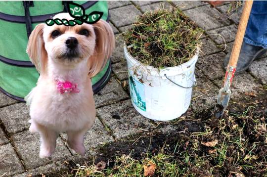 生き物ルーム第48