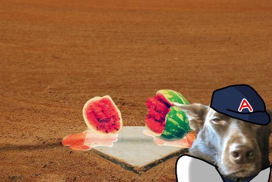 生き物ルーム第48