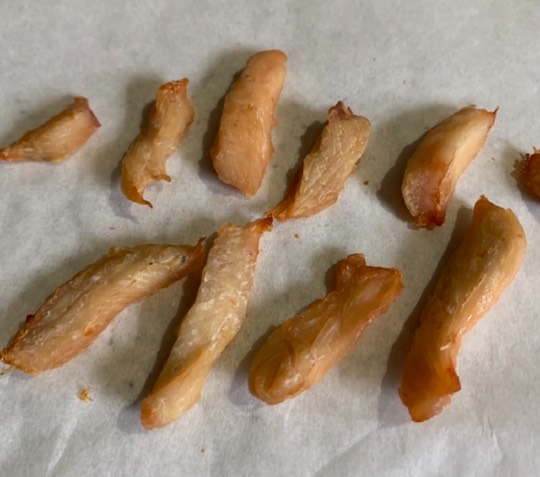 生き物ルーム第48