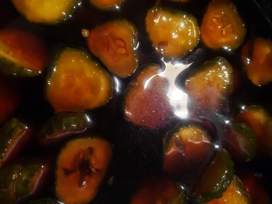 マスク同窓会詰所兼ニューフェイス歓迎所29(希望)