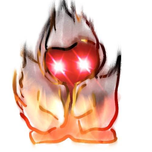 生き物ルーム第48