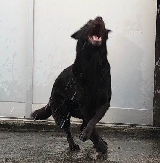 生き物ルーム第48