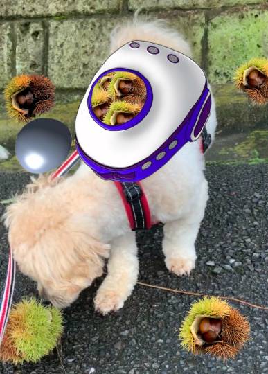 生き物ルーム第48