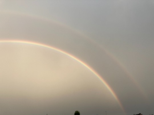 マスク同窓会詰所兼ニューフェイス歓迎所28(絆)