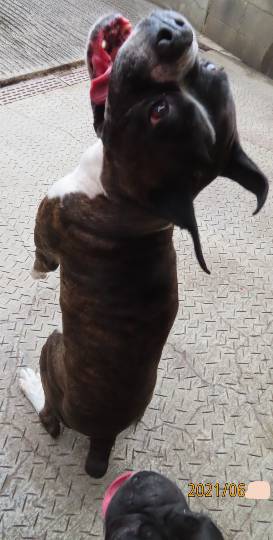 生き物ルーム第48