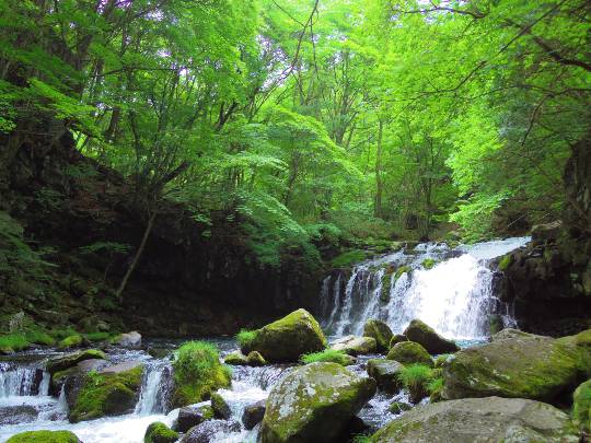 EGG'S CAFE イイ表情お願いしますぅ~♪
