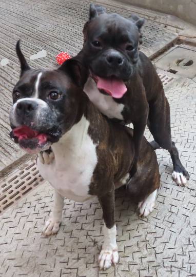 生き物ルーム第48