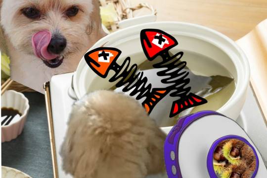 生き物ルーム第48