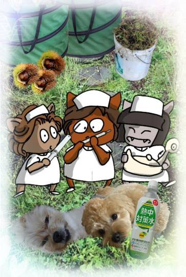 生き物ルーム第48