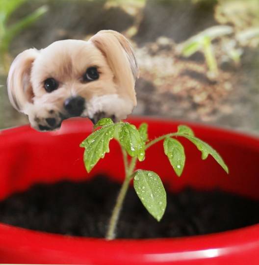 生き物ルーム第48