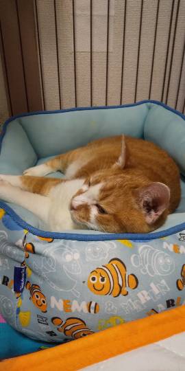 生き物ルーム第48