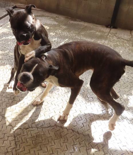 生き物ルーム第48