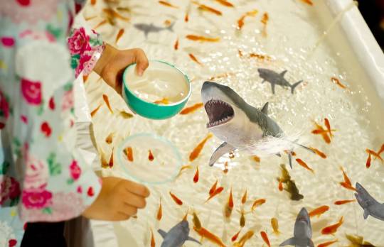 あつまれ‼︎雑談&ゲーム好きの森 season2#5 ドンとなった花火だ きれいだな〜♪♪