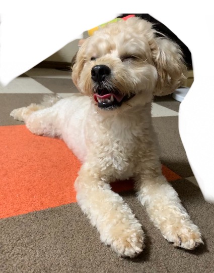 生き物ルーム第47