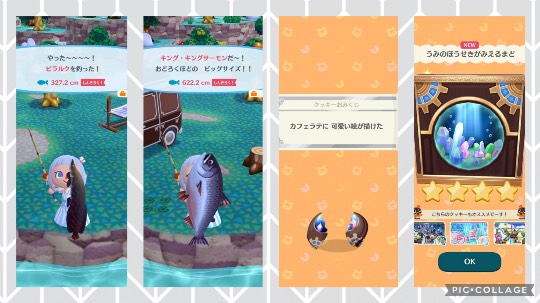 あつまれ‼︎雑談&ゲーム好きの森 season2#5 ドンとなった花火だ きれいだな〜♪♪