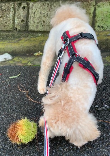 生き物ルーム第48