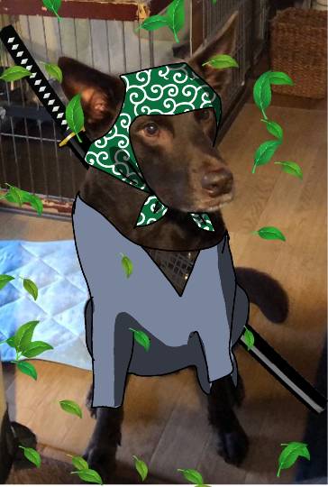 生き物ルーム第48