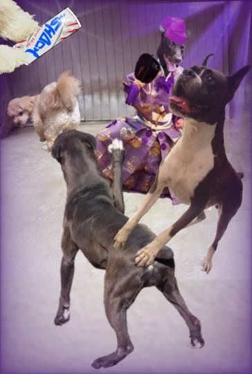 生き物ルーム第48