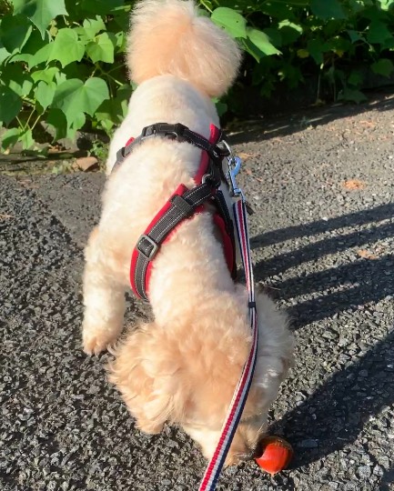 生き物ルーム第48