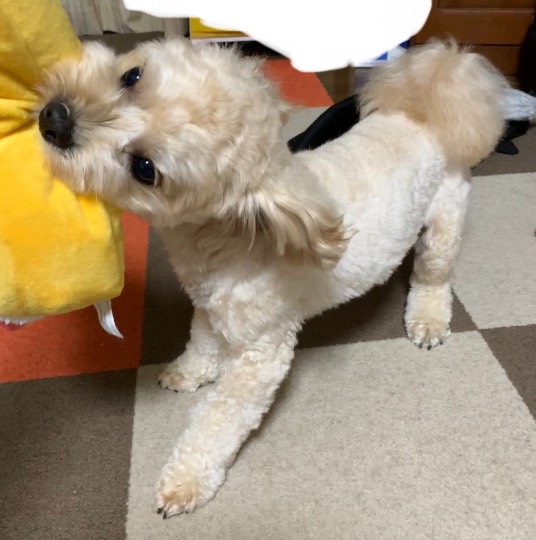 生き物ルーム第48