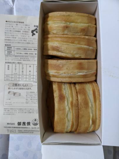 あつまれ‼︎雑談&ゲーム好きの森 season2#5 ドンとなった花火だ きれいだな〜♪♪