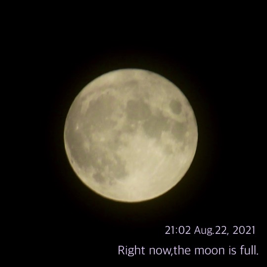 【スナックJINJIN】☆Tokyo 2020☆に妄想臨時出店中♡No.15店