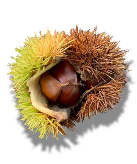 生き物ルーム第48