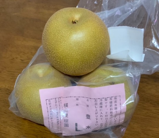 マスク同窓会詰所兼ニューフェイス歓迎所29(希望)