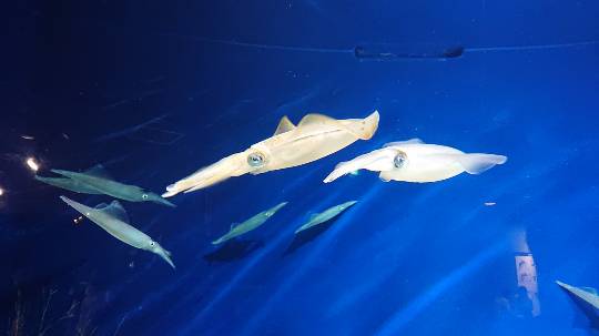 【スナックJINJIN】☆Tokyo 2020☆に妄想臨時出店中♡No.15店