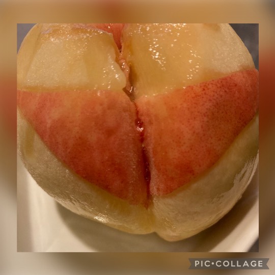 あつまれ‼︎雑談&ゲーム好きの森 season2#5 ドンとなった花火だ きれいだな〜♪♪