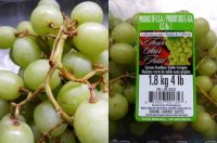 グリーンシードレスグレープ 1.8kg