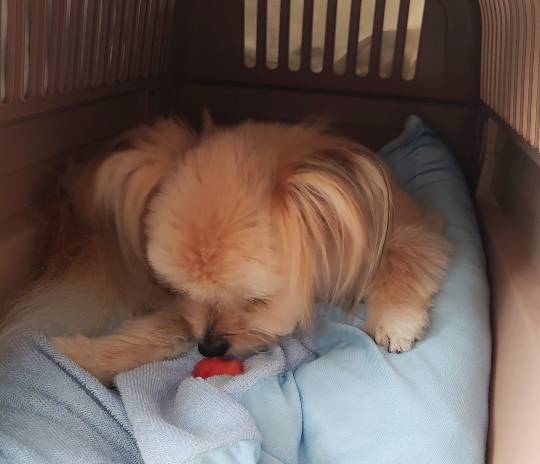 生き物ルーム第48