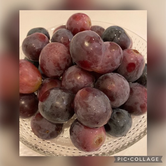 あつまれ‼︎雑談&ゲーム好きの森 season2#5 ドンとなった花火だ きれいだな〜♪♪