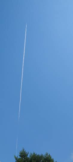 ★ドンキ♡♡ロピア 雑談41★