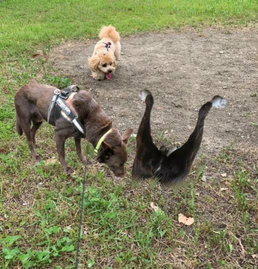 生き物ルーム第48