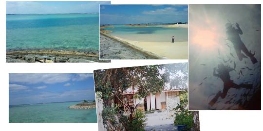 ★ドンキ♡♡ロピア 雑談43★