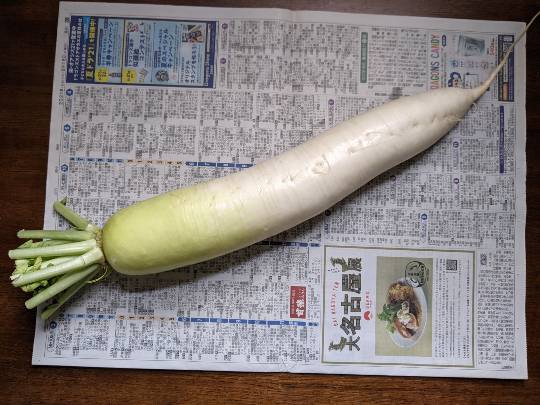 8月18日(水曜日)　中部空港倉庫店｜本日の混雑状況を教えて頂きたいです！...