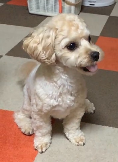 生き物ルーム第48